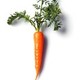 la-bouche-pleine-de-carotte