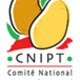 cnipt cnipt