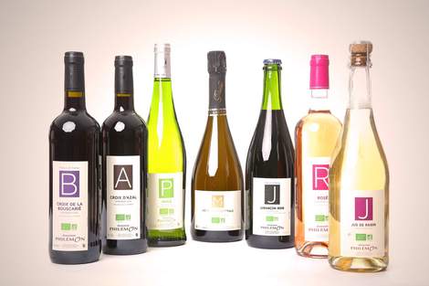 Domaine Philemon Mathieu VIEULES