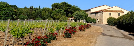 Château Mire l'Etang