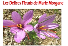 Les Délices Fleuris de Marie-Morgane