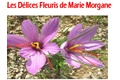 Les Délices Fleuris de Marie-Morgane