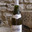 CAVEAU RUE RAMPON LECHIN