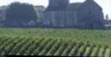 DE BOUARD DE LAFOREST ET FILS
