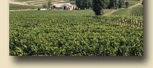 JEAN PETIT VIGNOBLES