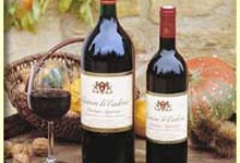 VIGNOBLE FRANCOIS LANDAIS