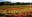 DOMAINE DE MAROTTE