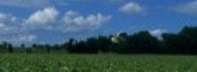 CHATEAU LA NERTHE