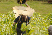 DOMAINE LAROCHE