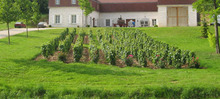 DOMAINE BACHELIER