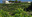 LES VIGNOBLES DE CAILLAVET