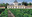 CHATEAU BRANE CANTENAC