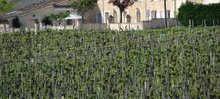 CHATEAU HAUT BONNEAU