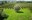 VIGNOBLES DUBARD