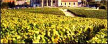 CHAMPAGNE VALLOIS JEAN-CLAUDE ET FILS