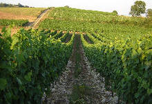 DOMAINE MEUNIER