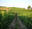 DOMAINE MEUNIER