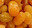 Kumquats Confits