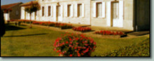 VIGNOBLES LARGE