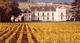 DOMAINE CHATEAU DE MEURSAULT