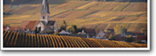 CHAMPAGNE FENEUIL POINTILLART