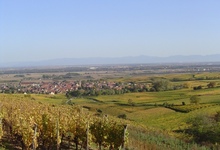Eguisheim vu du vignoble
