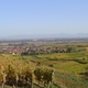 Eguisheim vu du vignoble