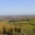 Eguisheim vu du vignoble