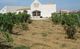 DOMAINE DE PIERRE BELLE