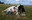 Les producteurs fermiers