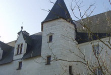 Le chateau de Monts-sur-Guesnes