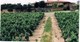 Les producteurs fermiers