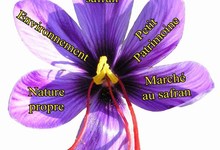 Marché du safran charentais à Champniers