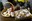 Les producteurs fermiers