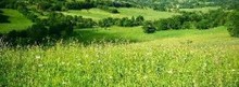 Les producteurs fermiers