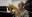 Les producteurs fermiers