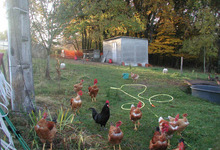 Ferme de la Vélonde AMAP