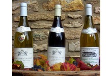 Puligny Montrachet