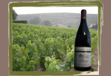 FLEURIE 2008