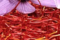 La fleur de Crocus Sativus, utilisée pour la fabrication du safran