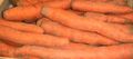 carotte de Tilques