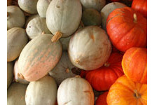 Paniers de légumes