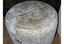 Fromages cantal salers