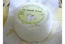 Le moulé frais