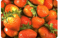Fraise