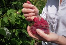FERME FRUIROUGE