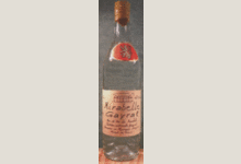 Mirabelle Gayral 45%