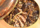 Côtes de veau d'Aveyron et du Ségala rôtie en cocotte, aux oignons nouveaux et champignons