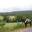 paysage savonnerie