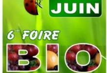Le plus grand marché  bio des Ardennes